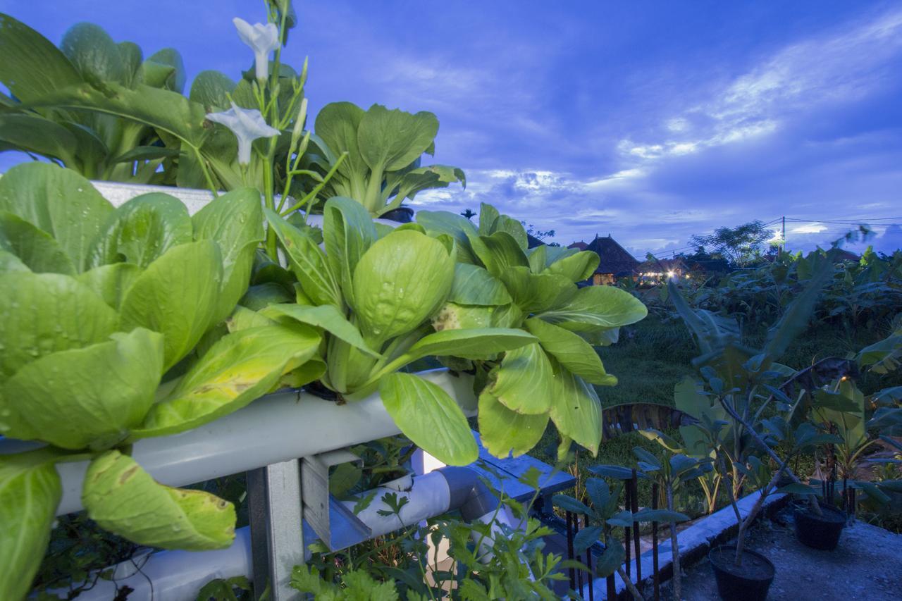 Vinayaka Ubud エクステリア 写真