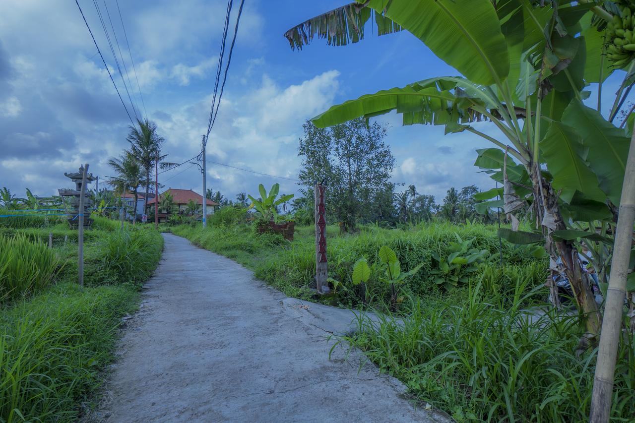 Vinayaka Ubud エクステリア 写真